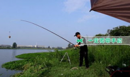 海竿钓鱼视频,视频教学带你轻松上钩